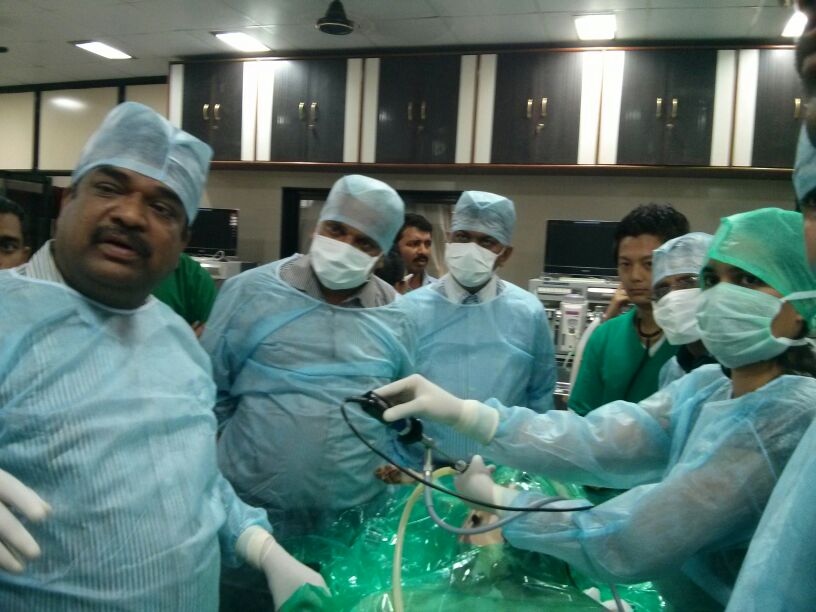 Wet Lab Training December 2013